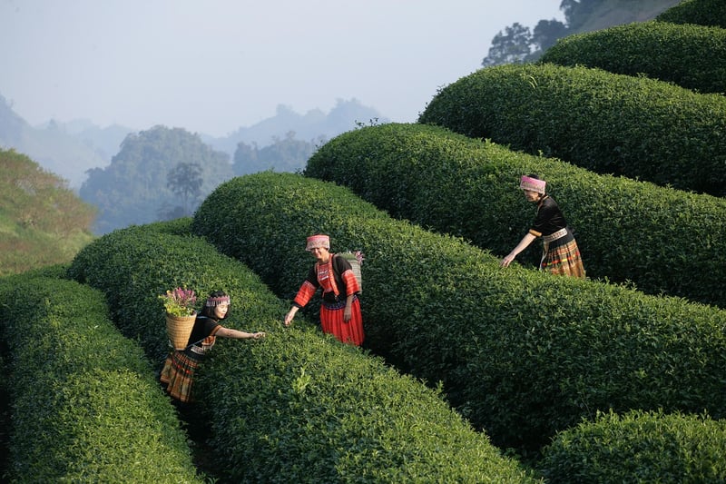Sensory Experiences